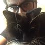 neilcameron’s twitter avatar