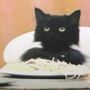 spaghetti_emoji’s twitter avatar